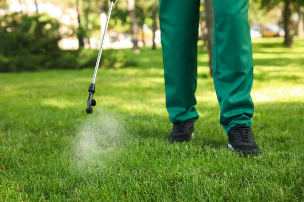 Best Rat Extermination Near Me  in Monmouth, IL