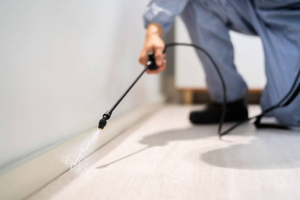 Best Flea Control Services  in Monmouth, IL