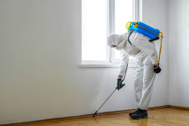 Best Pest Control Near Me in Monmouth, IL