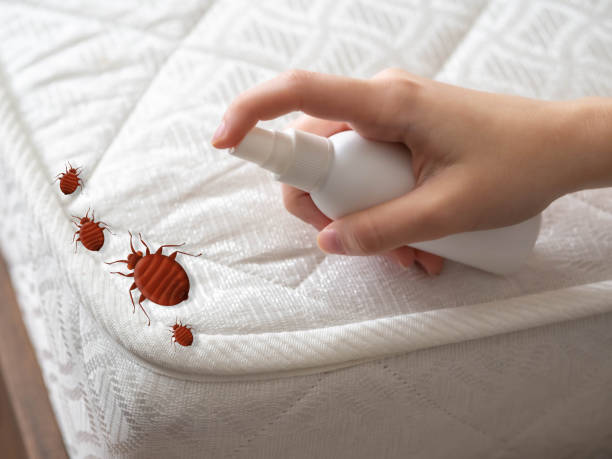 Best Pest Control Near Me  in Monmouth, IL