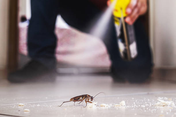 Best Emergency Pest Control  in Monmouth, IL