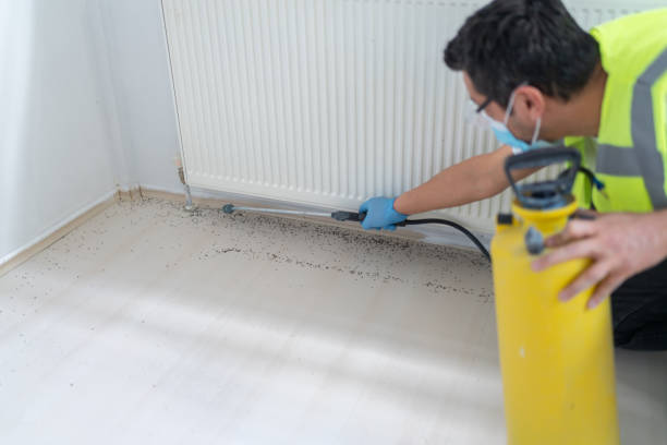 Pest Control for Restaurants in Monmouth, IL